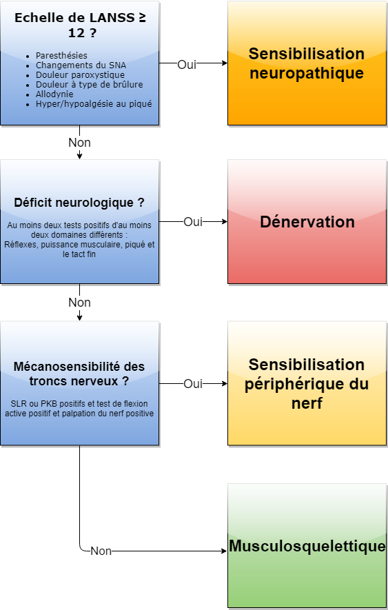 Les meilleurs éléments diagnostiques des neuropathies - KineFact