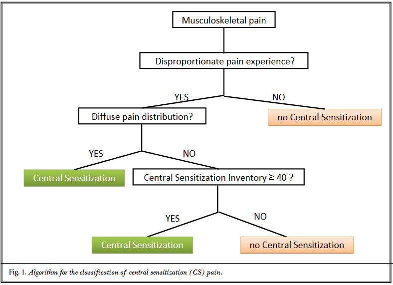 Ressources cliniques - KineFact