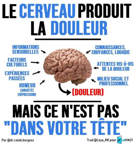 Douleur et cerveau