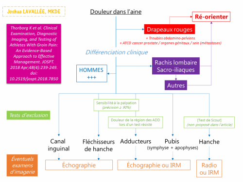 Algorithme douleurs inguinales